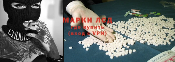 ПСИЛОЦИБИНОВЫЕ ГРИБЫ Заволжск