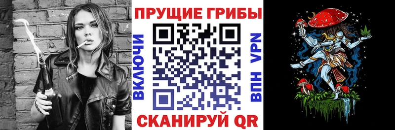 Купить где  Лосино-Петровский  Псилоцибиновые грибы GOLDEN TEACHER 